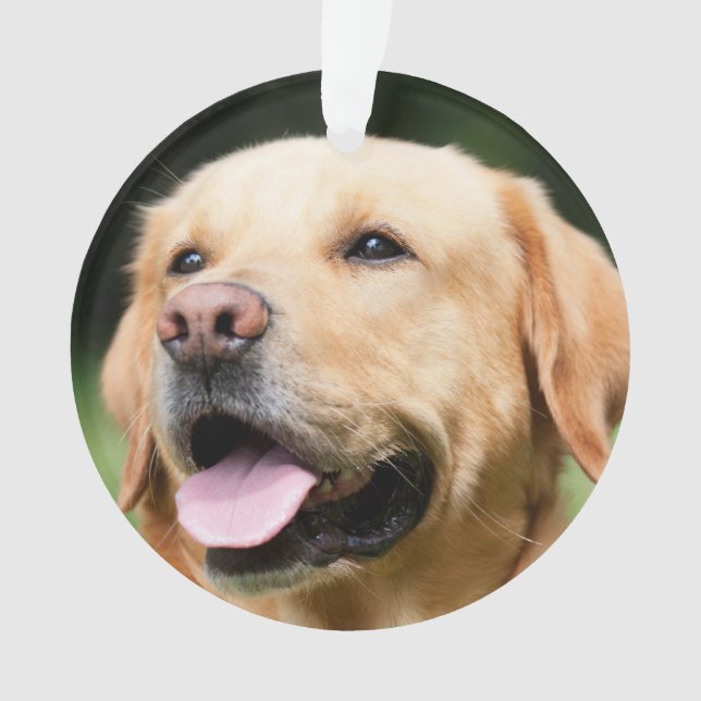 In Memory - Gold-Labrador - anpassbare Memorial-Fu Ornament (Vorderseite)