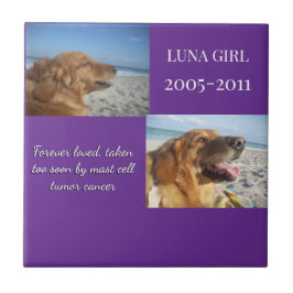 In Memory, Love Remains Fliese