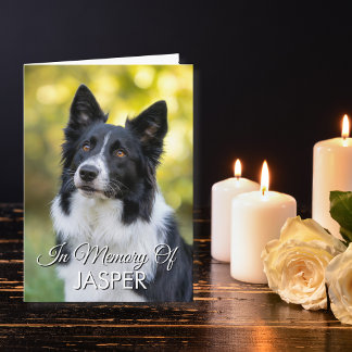 In Memory Of Pet Memorial Sympathy Custom Photo Karte