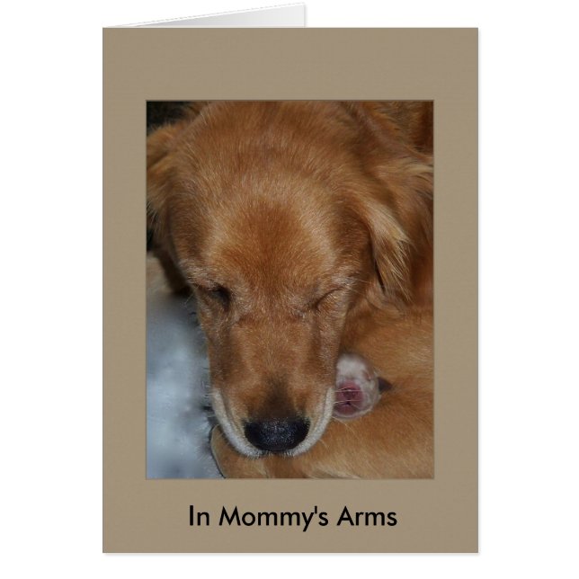 In Mommy's Arms (Vorne)