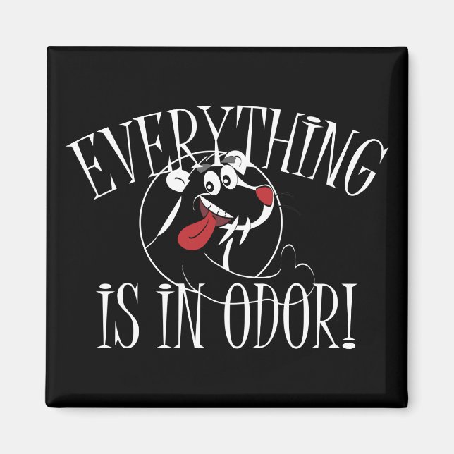 In Odor Skunk Magnet (Vorne)