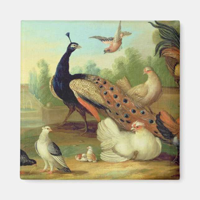 In Peacock, Doves, Chickens and a Jay in a Park Magnet (Vorne)