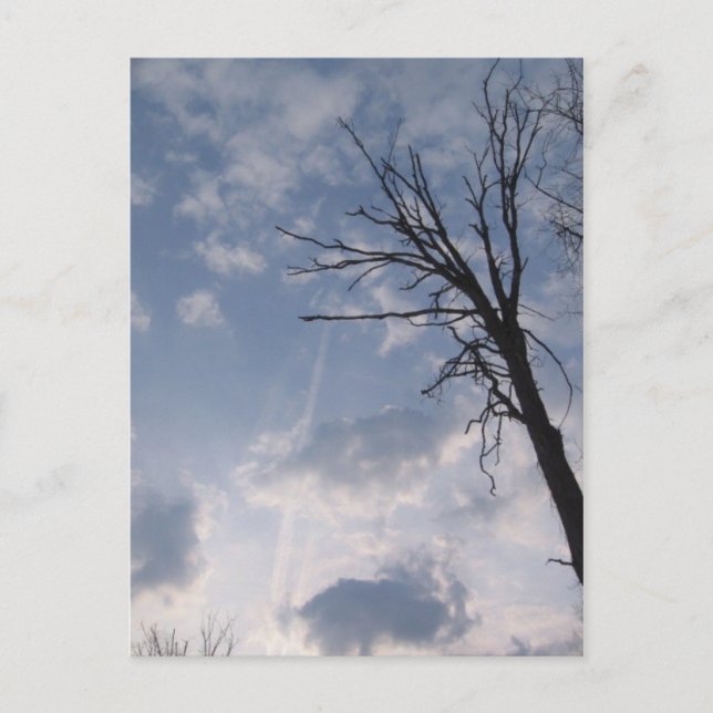 in Richtung Himmel Postkarte (Vorderseite)