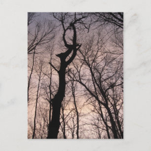 in Richtung Himmel Postkarte