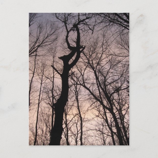 in Richtung Himmel Postkarte (Vorderseite)