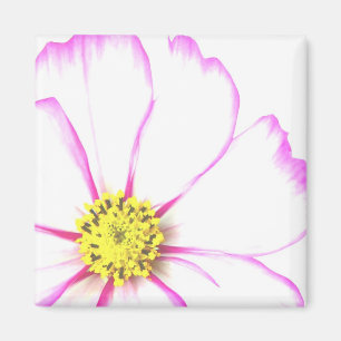 in rosa geschnitten magnet