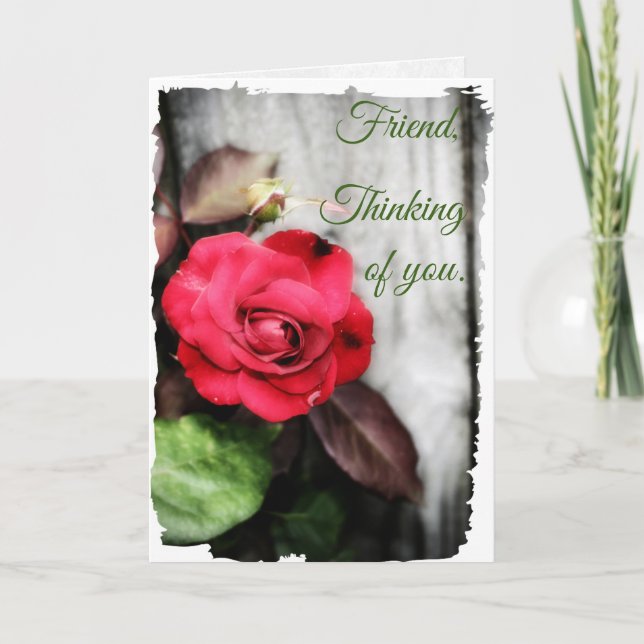 In seiner liebevollen Pflege (Vorderseite)