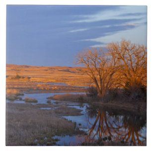 In Sonnenuntergangslicht gebadet der Calamus River Fliese