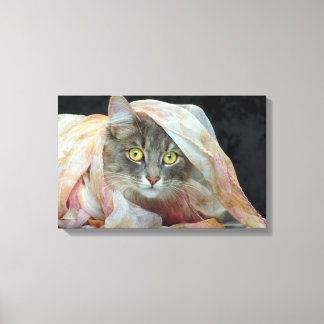 In Stoff gewickelte Katze Leinwanddruck