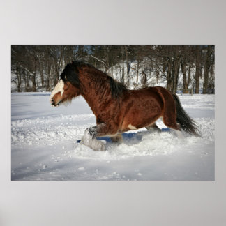 In Stride Clydesdale im Schnee einnehmen Poster