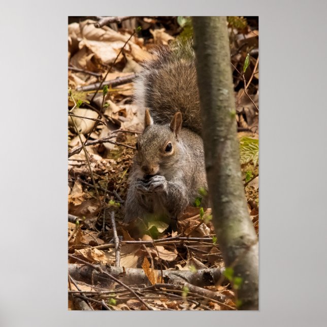 In the Brush Poster (Vorne)