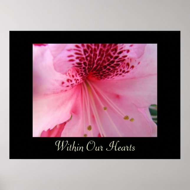 In unserem Herzen druckt die Kunst rosa Rhododendr Poster (Vorne)