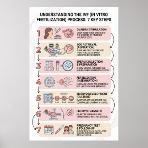 In-Vitro-Fertilisation (IVF) Prozess erklärt: 7  Poster