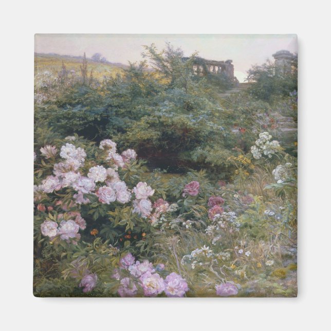 in voller Blüte Magnet (Vorne)