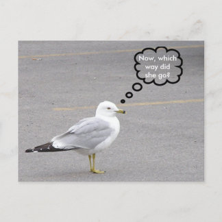 In welche Richtung? Postkarte