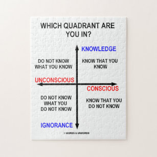 In welchem Quadranten bist du? Bewusstsein Puzzle