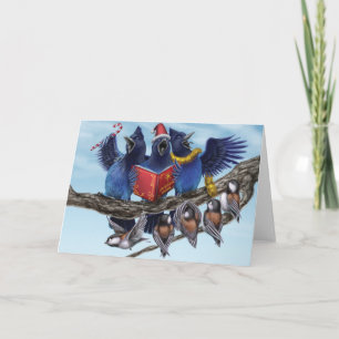 In West Coast Christmas: Jays Feiertagskarte