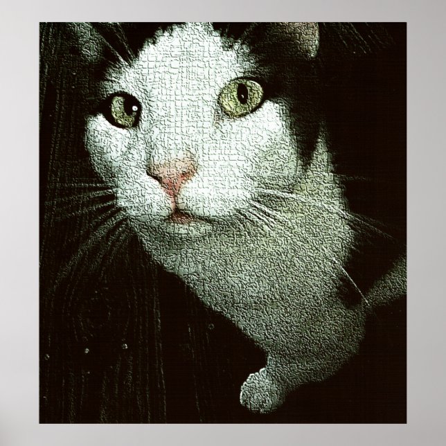  In Your Face Bob Poster (Vorne)