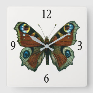 Inachis io - Die europäische Pfauenschmetterling Quadratische Wanduhr
