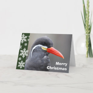 Inca Tern Christmas Card Feiertagskarte