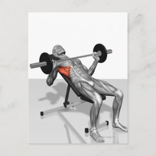 Incline Bench Press 2 Postkarte