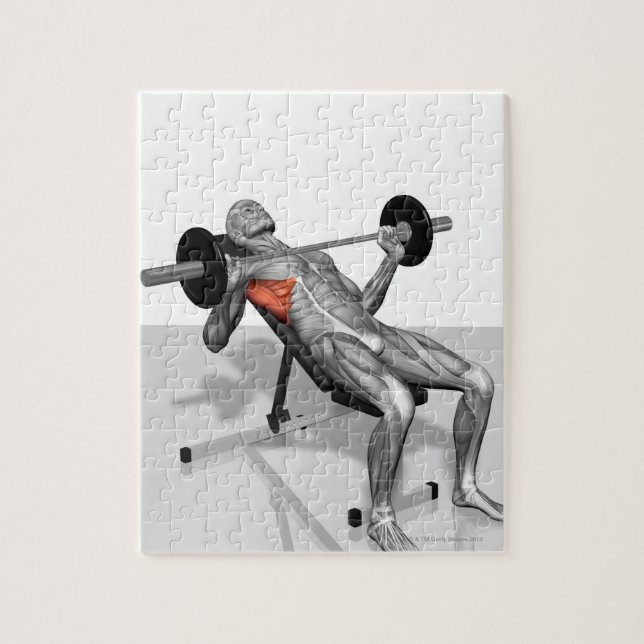 Incline Bench Press 2 Puzzle (Vertikal)