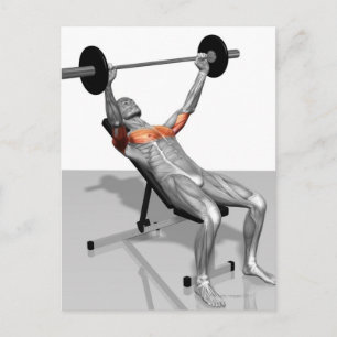 Incline Bench Press Postkarte
