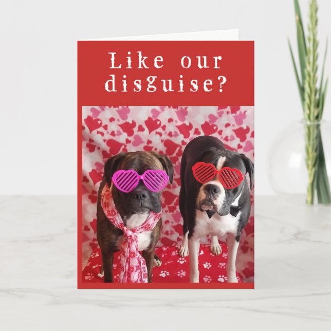 **INCOGNITO & SHY** SEIEN SIE UNSERE VALENTINE? KARTE (Vorderseite)