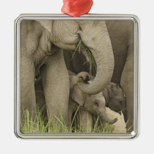 Inder / Asiatischer Elefant und Jungtier, Corbett Ornament Aus Metall