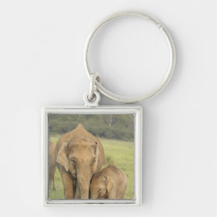 Inder / Asiatischer Elefant und Jungtier, Corbett Schlüsselanhänger