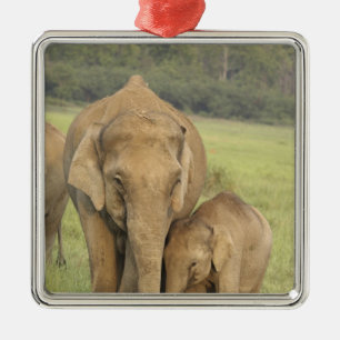 Inder / Asiatischer Elefant und Jungtier, Corbett Silbernes Ornament