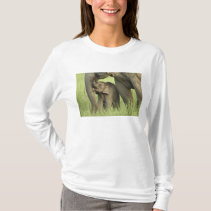 Inder / Asiatischer Elefant und Jungtier, Corbett T-Shirt