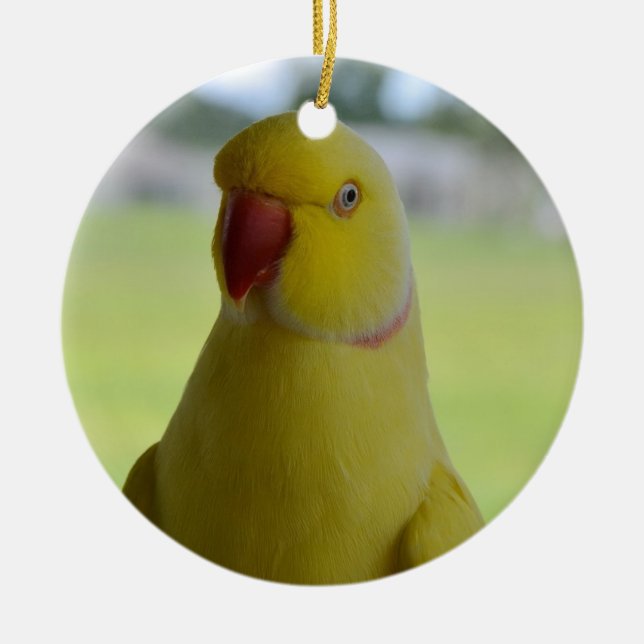 Inder Ringneck im Schatten Keramikornament (Vorne)
