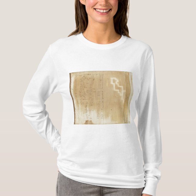 Index Michigan und Indiana-Grenzübersicht T-Shirt (Vorderseite)