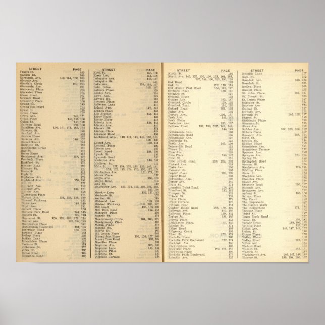 Index New Rochelle Poster (Vorne)