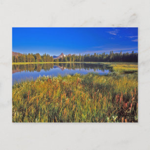 Index Peak reflektiert in den Mud Lake auf Postkarte