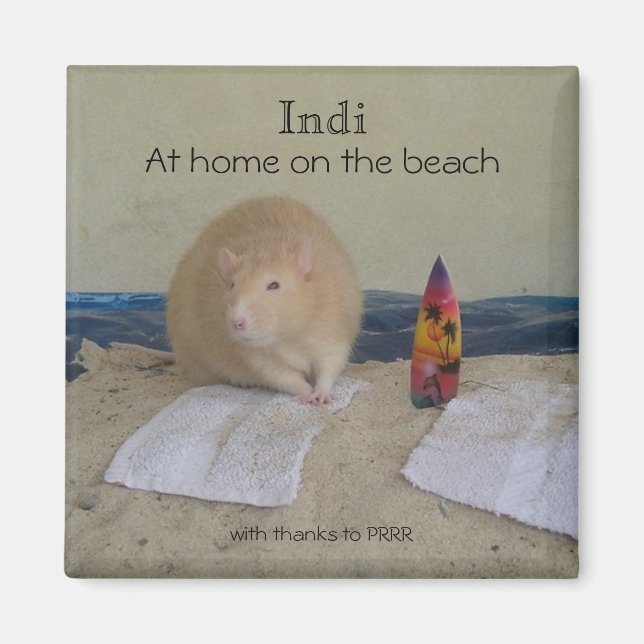 Indi, At Zuhause am Strand, mit Dank... Magnet (Vorne)