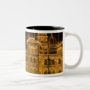 INDIA, Karnataka, Mysore: Majaraja's Palace (b. Zweifarbige Tasse