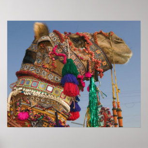 INDIA, Rajasthan, Pushkar: PUSHKAR CAMEL FAIR, Poster