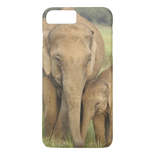 Indian / Asian Elephant and young one,Corbett Case-Mate iPhone Hülle (Rückseite)