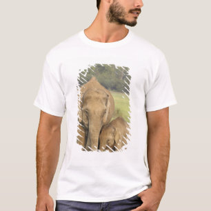 Indian / Asian Elephant and young one,Corbett T-Shirt