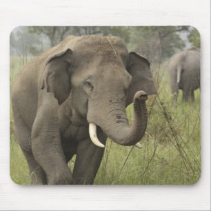 Indian Asian Elephant Gruß Mousepad