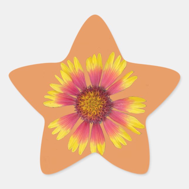 Indian Blanket Star Sticker (Vorderseite)