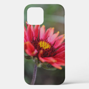Indian Blanket Wildblume Art Phone Case
