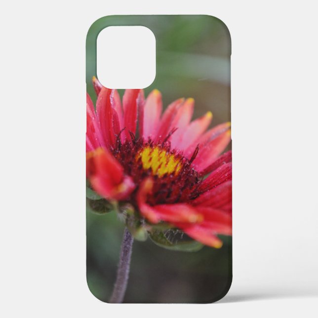 Indian Blanket Wildblume Art Phone Case (Rückseite)