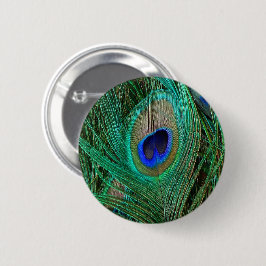 Indian Blue Peacock Feather Button