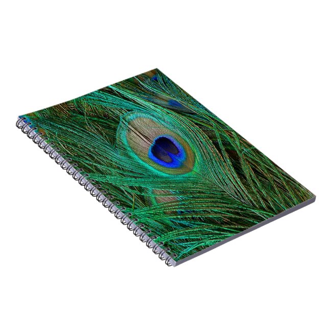Indian Blue Peacock Feather Notizblock (Rechte Seite)