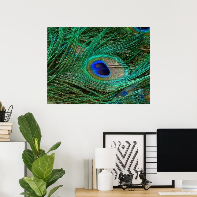 Indian Blue Peacock Feather Poster Print (Heimbüro)