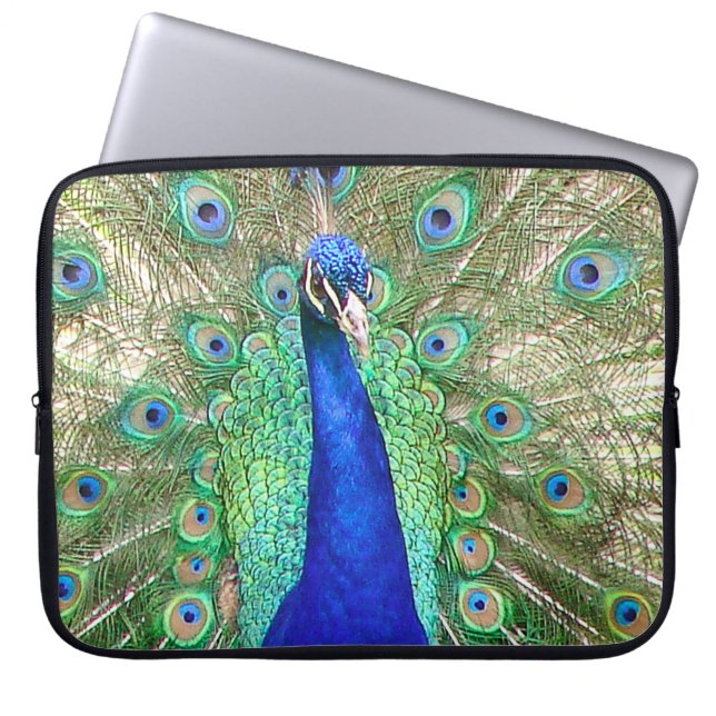 Indian Blue Peacock Laptopschutzhülle (Vorderseite)