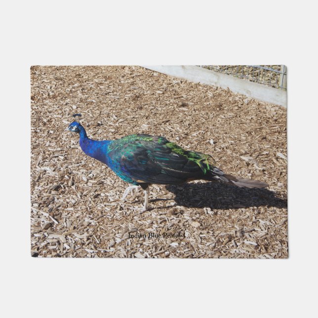 Indian Blue Peafowl door mat Fußmatte (Vorderseite)